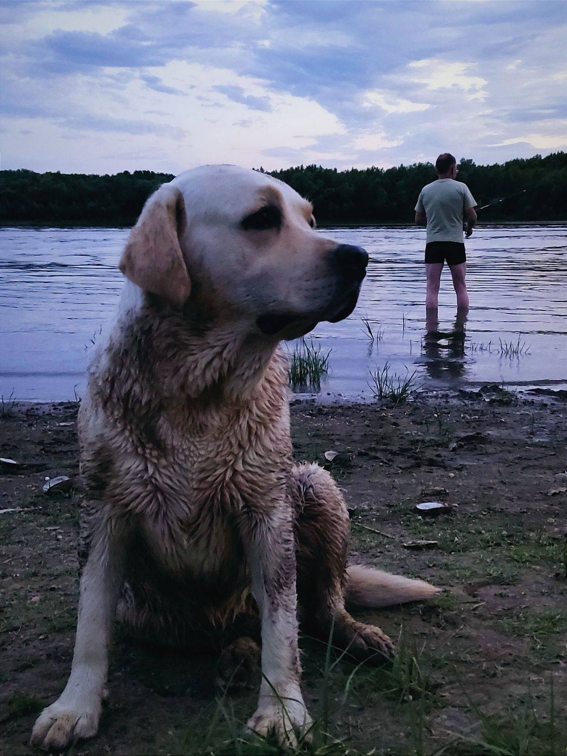 Photo #8604429