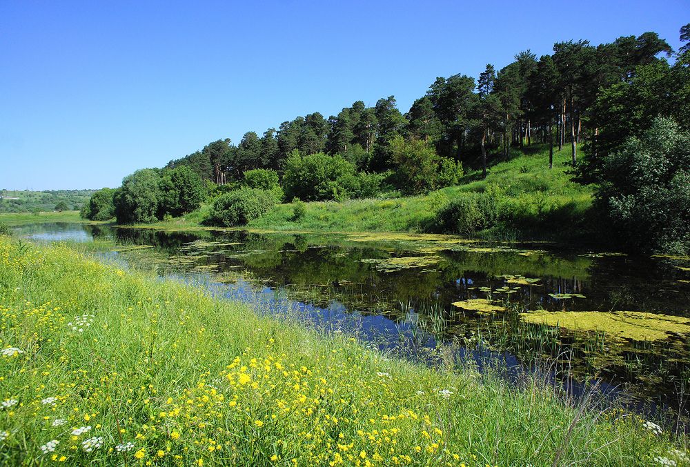 Озеро в Бору