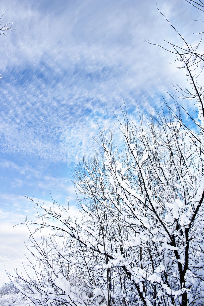 Photograph by Нелли