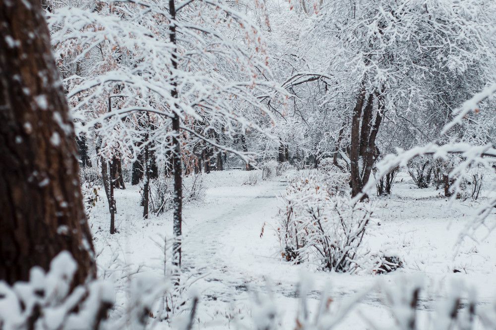 Photograph by Егор Пакулин