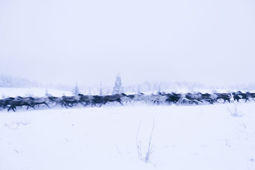 Photograph by Марина Шумакова