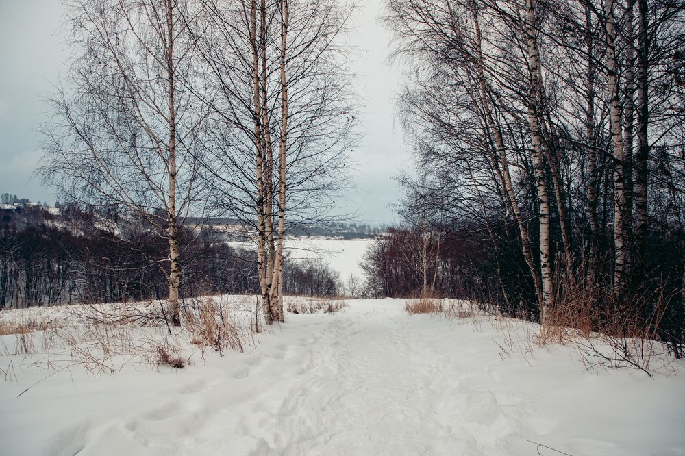 Photograph by Валерия Паули