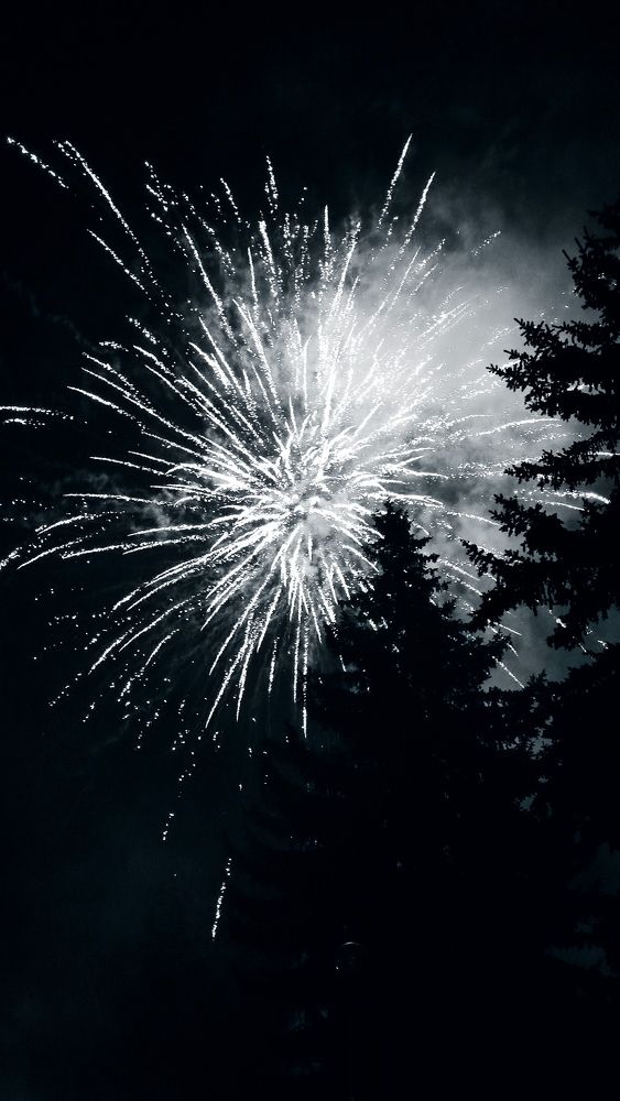 Photograph by Csilla Kelemen