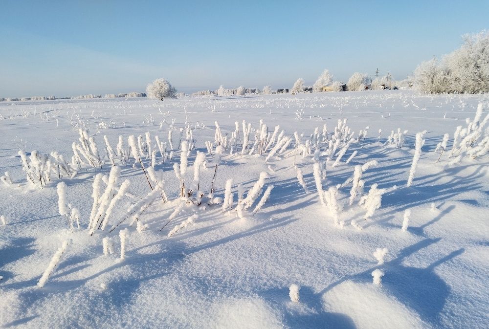 Photo #8604744