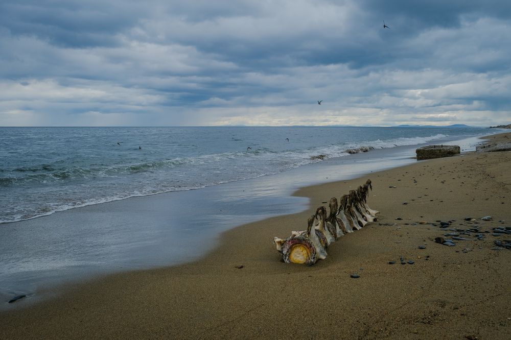 Photograph by Марина Шумакова