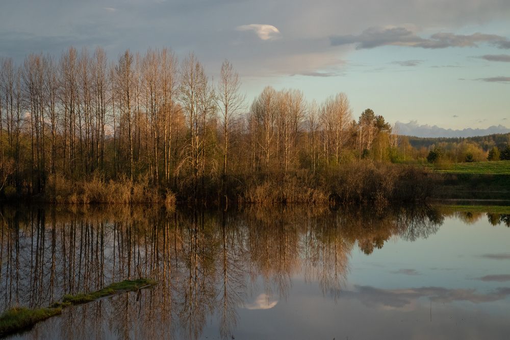 Photograph by Виктория Козинец