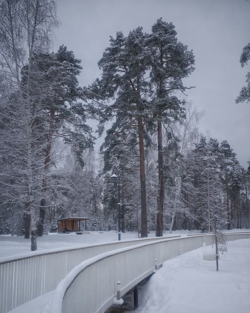 Photograph by Наталья Сафронова