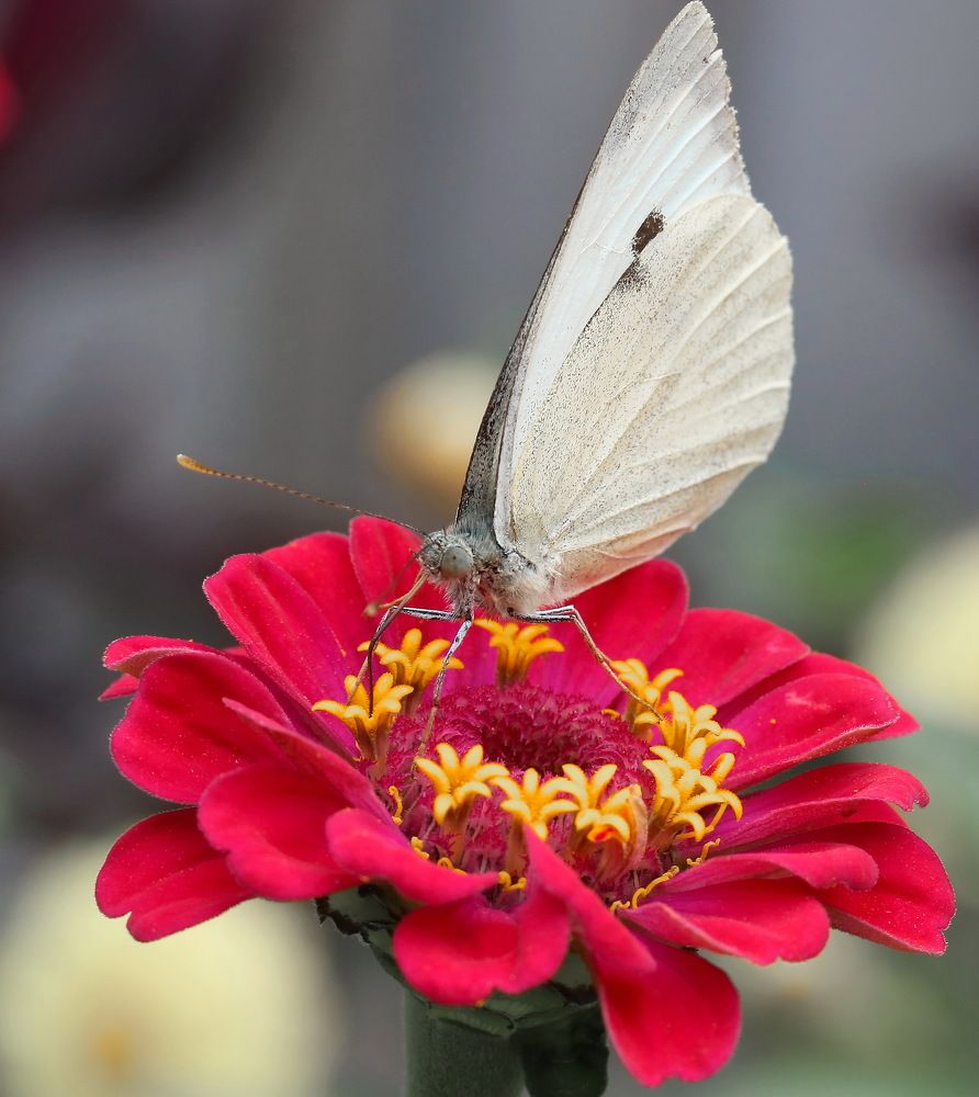 Photograph by Игорь Осипов