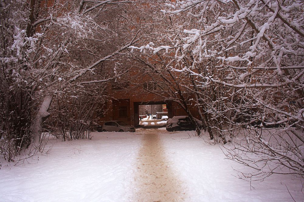 Photograph by Veretina Yroslava