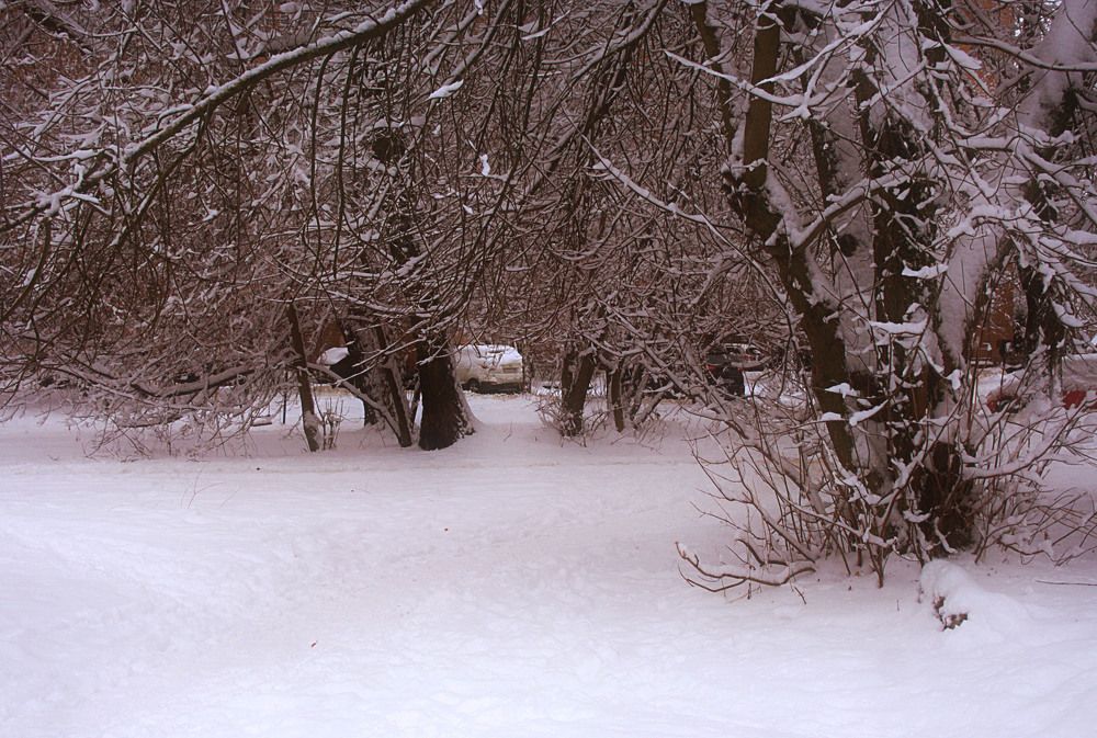 Photograph by Veretina Yroslava