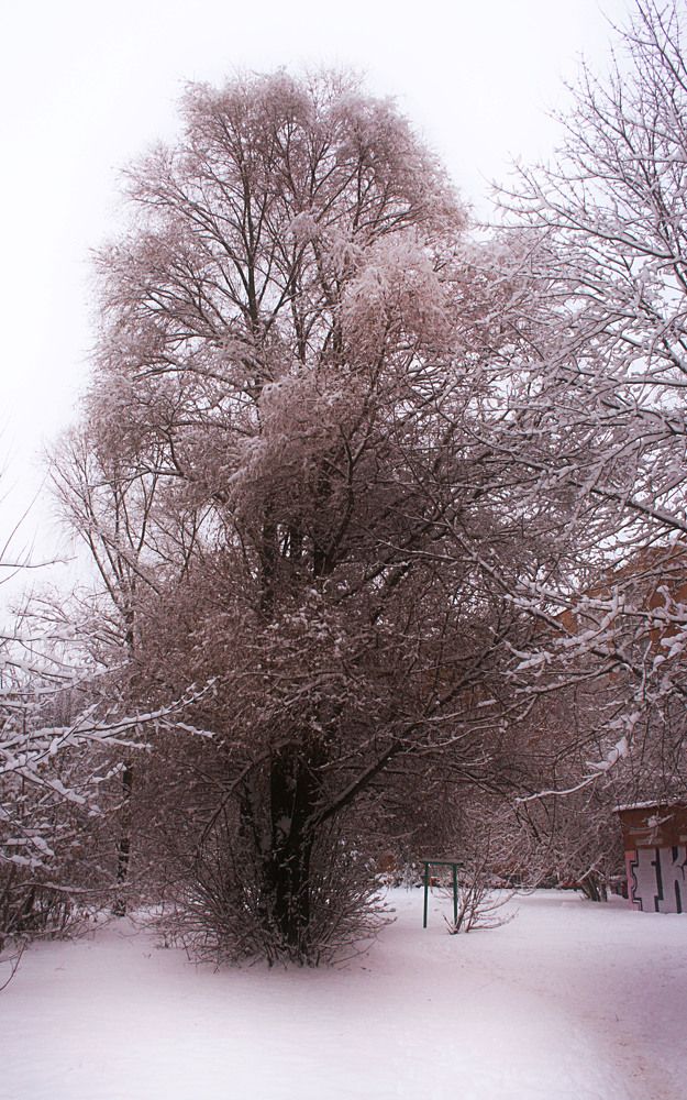 Photograph by Veretina Yroslava