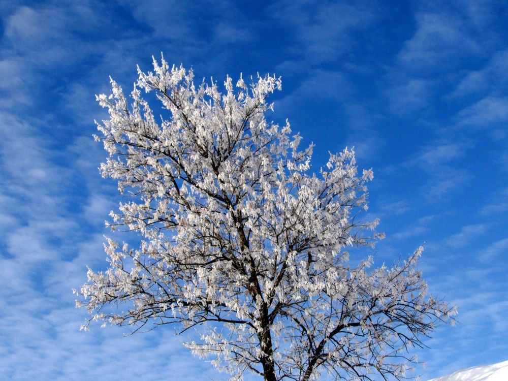 Photograph by Елена Кузнецова