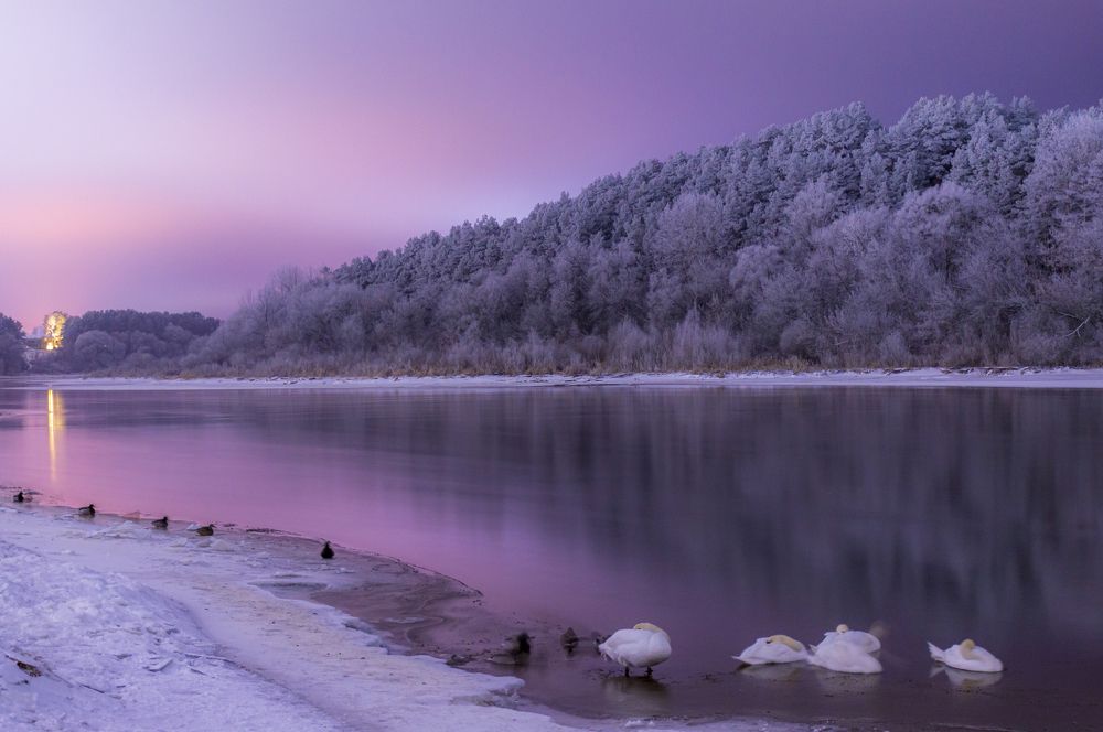 Photograph by Артём Амельянчик