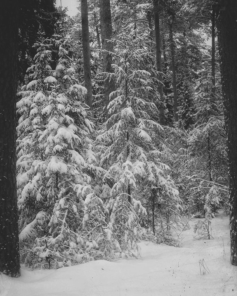 Photograph by Наталья Сафронова