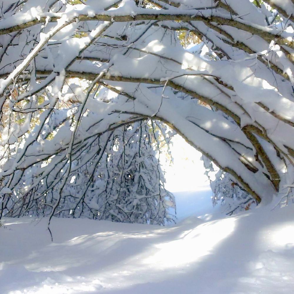 Photograph by Наталия Ковалева