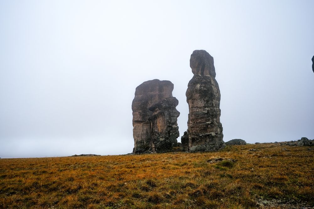 Photograph by Марина Шумакова