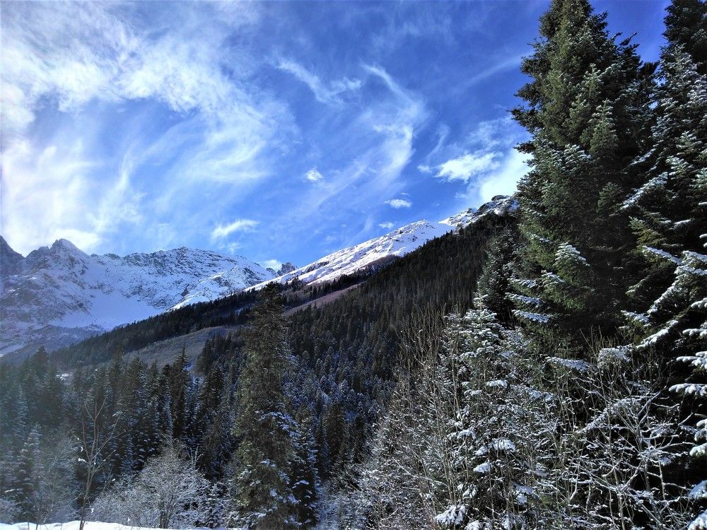 Photograph by SAFRON