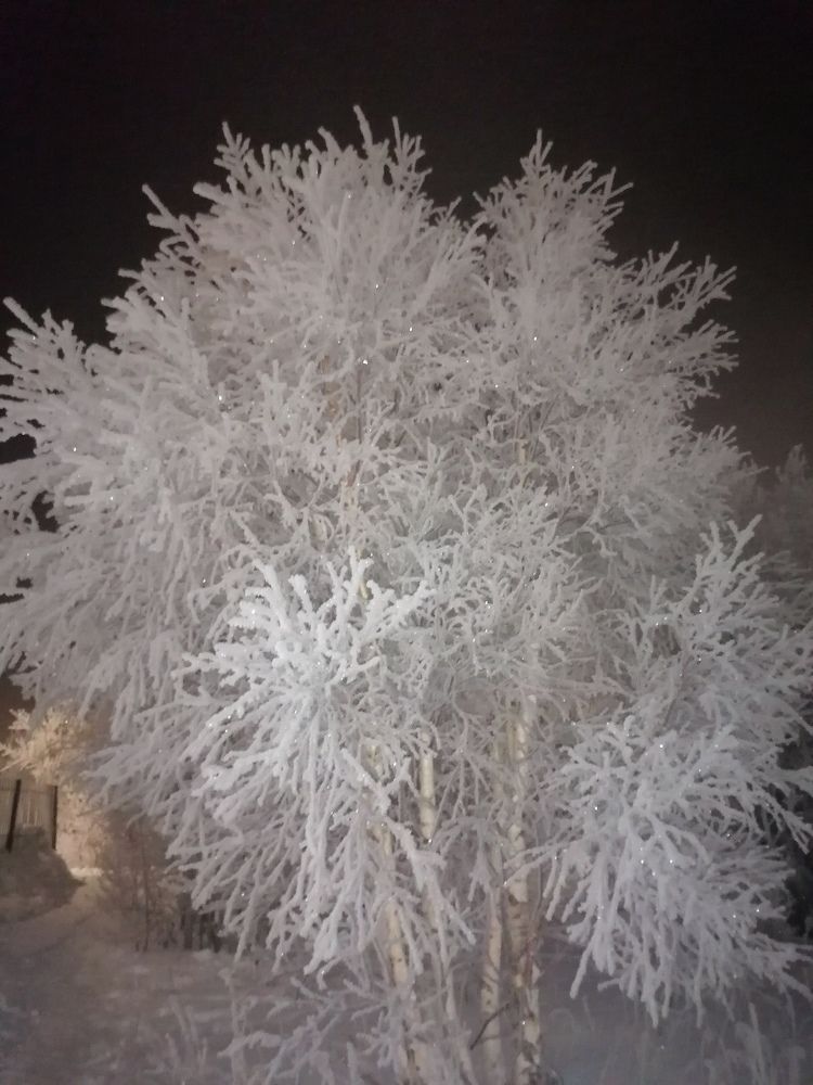 Photograph by Ирина Кортюкова