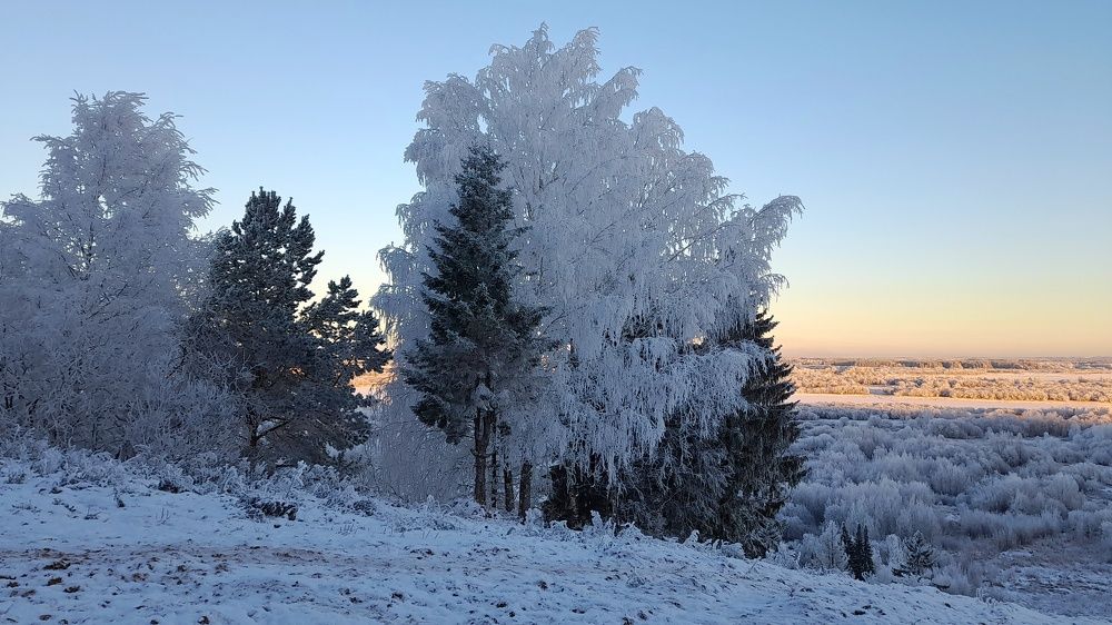 Photograph by Ольга Березовская