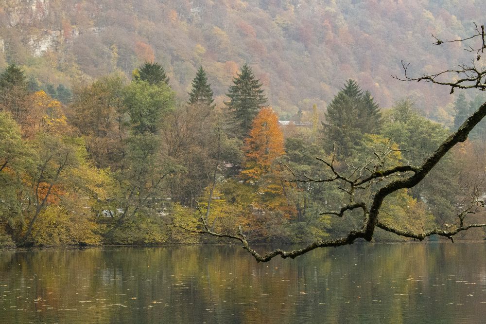 Photograph by Ярослава Турченко