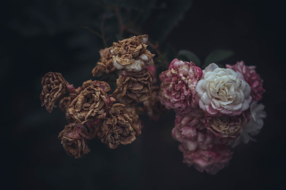 Photograph by Наталья Шёлкова