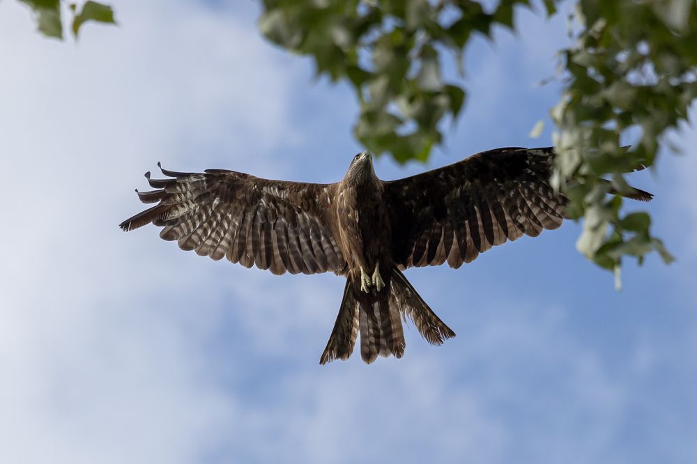 Photograph by Вячеслав Макаровский
