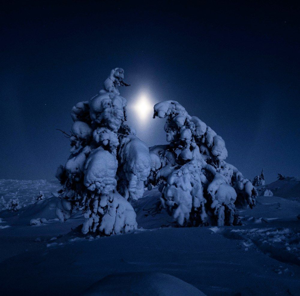 Photograph by Karasev Pavel