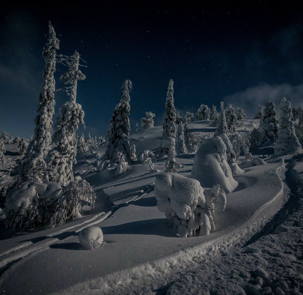 Photograph by Karasev Pavel