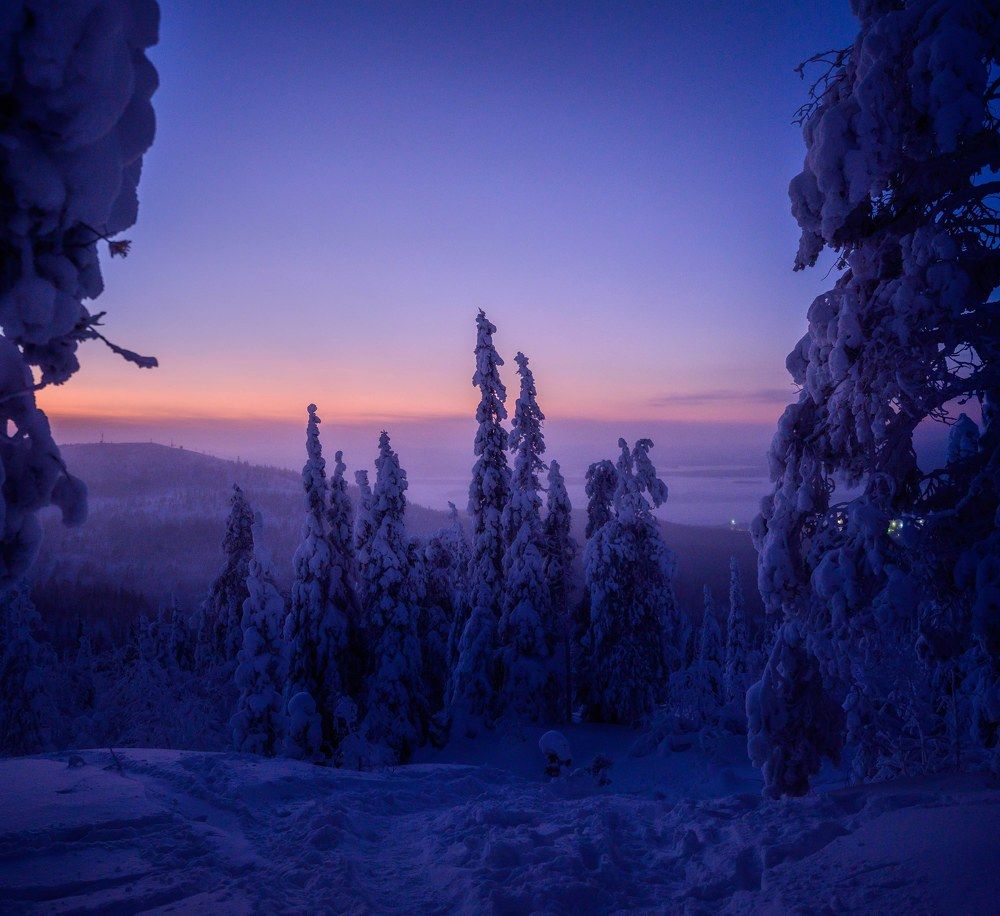 Photograph by Karasev Pavel