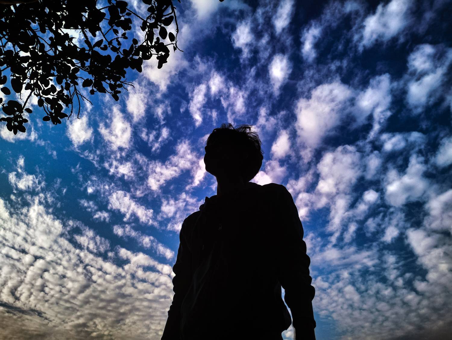 Photo #8605541