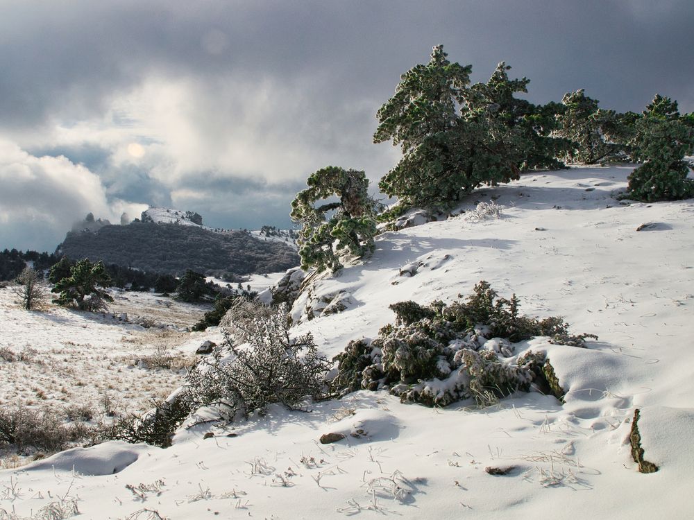 Photograph by Андрей Евтеев