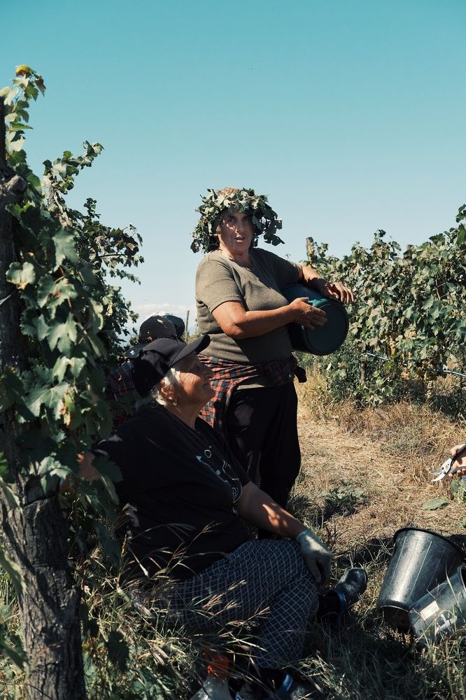 Photograph by Жагорина Анна