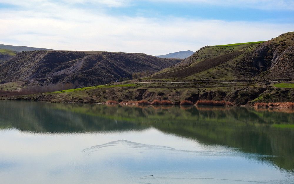 Photograph by bilal bilal