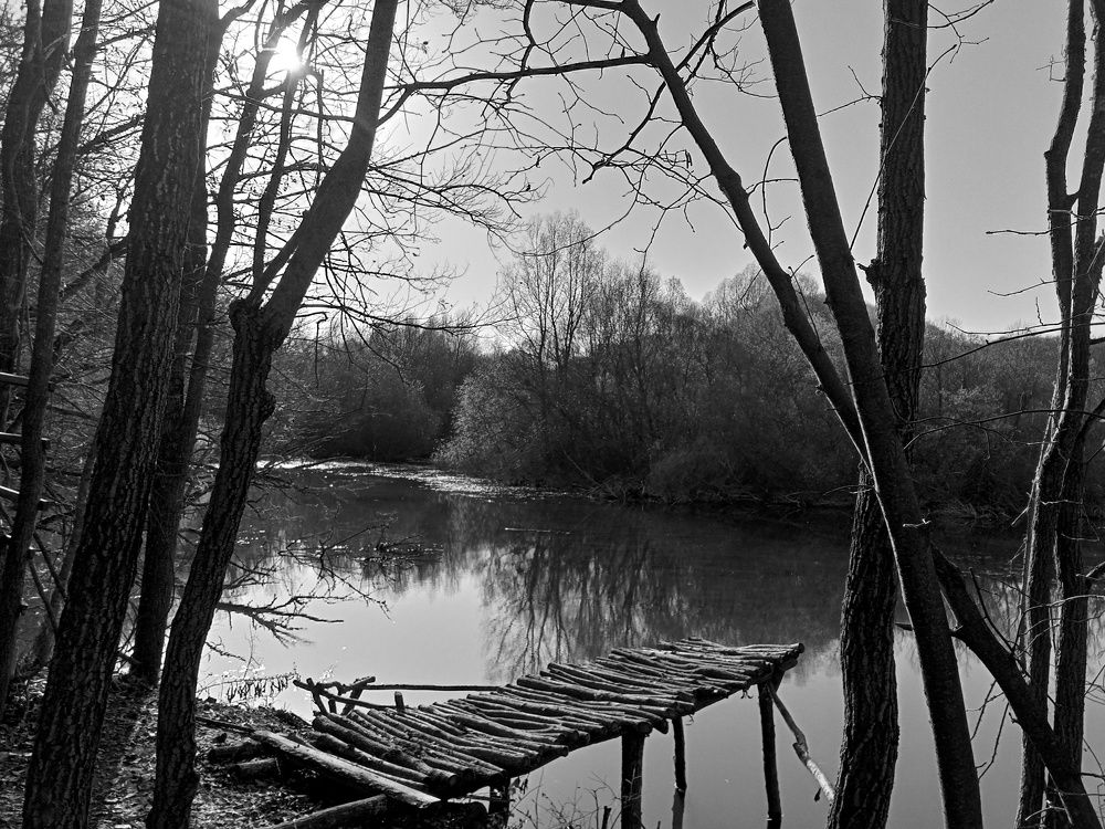 Photograph by Стаскевич Татьяна