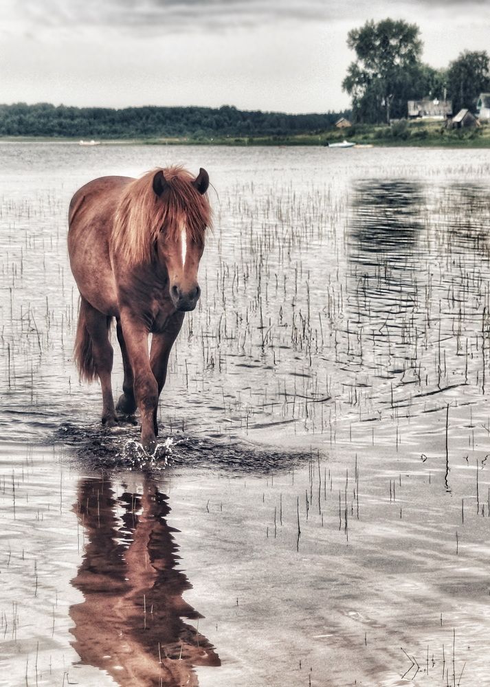 Photograph by Евгений Жиляев