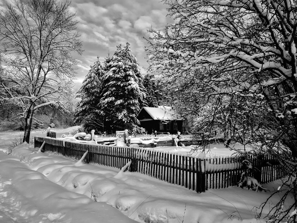 Photograph by Евгений Жиляев