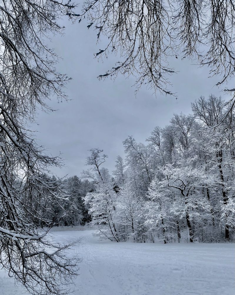 Photograph by Марина Танаева