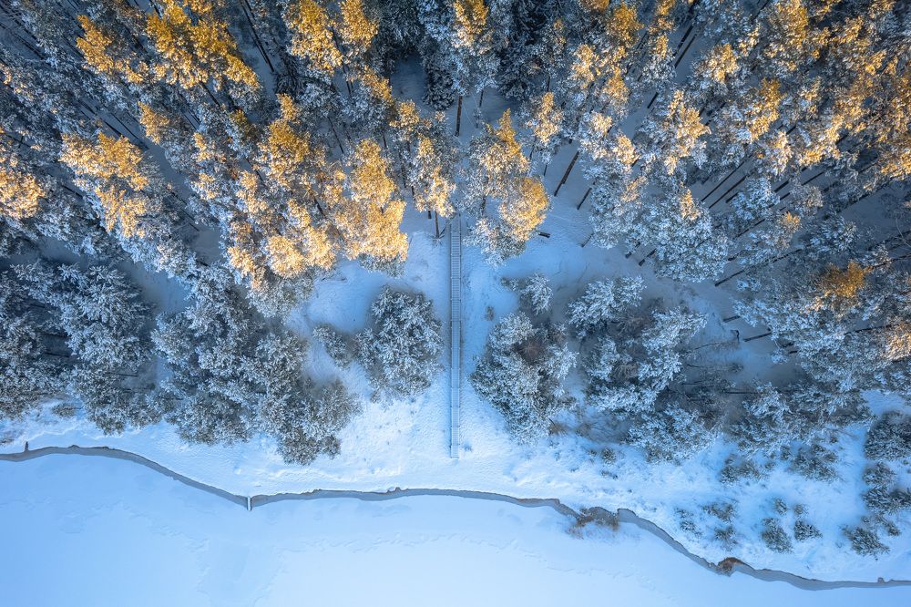 Photograph by Парфентьев Антон