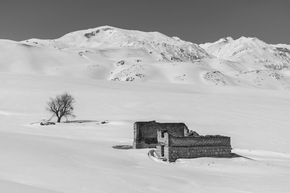 Фотография автора Mahshad Razavi