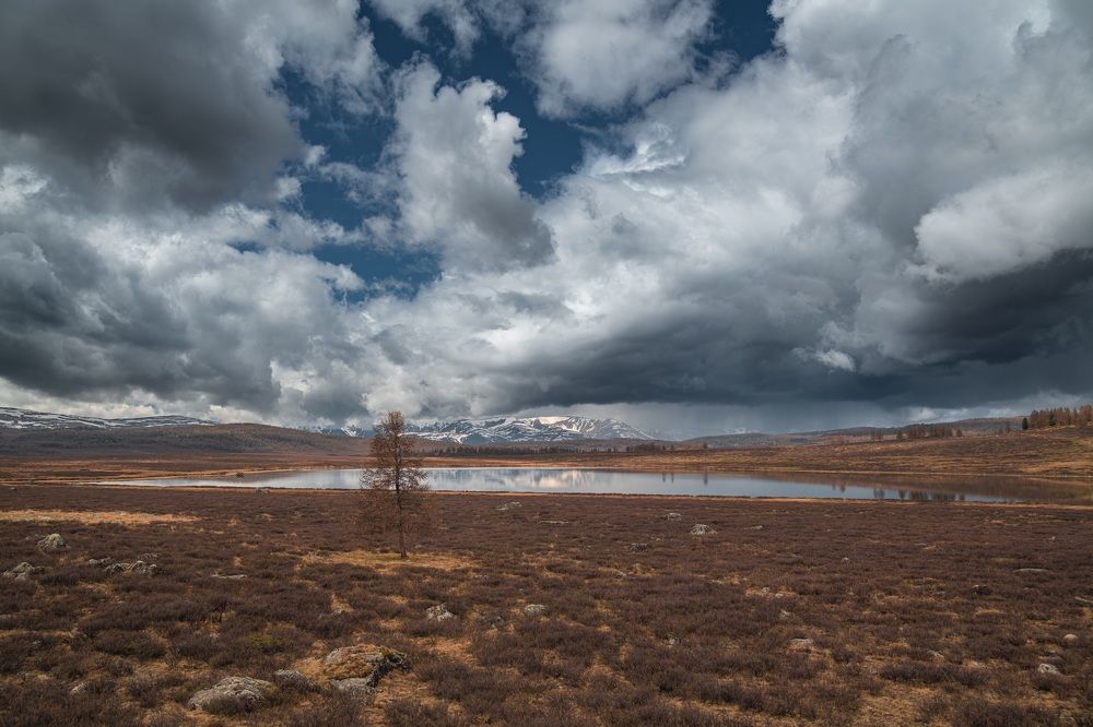 Photograph by Denis Koshkin