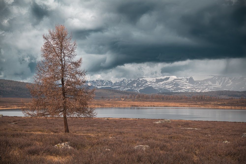 Photograph by Denis Koshkin