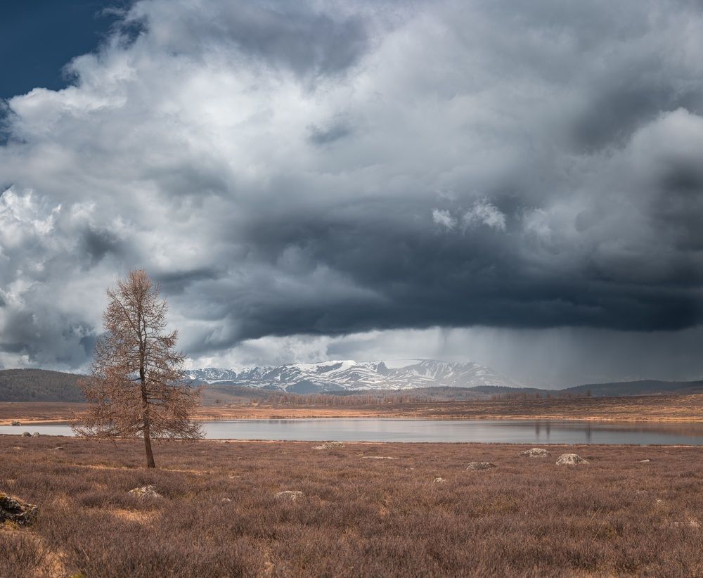 Photograph by Denis Koshkin