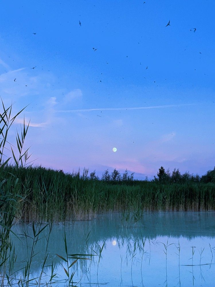 Photograph by Gabriela Meghnini