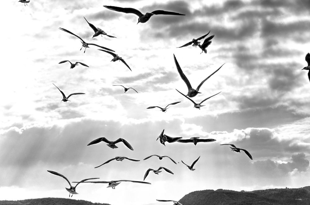 Photograph by Mine Güneş Şentürk