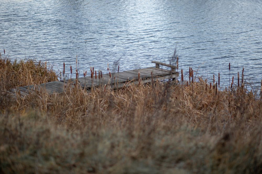 Photograph by Ольга Гаврилова