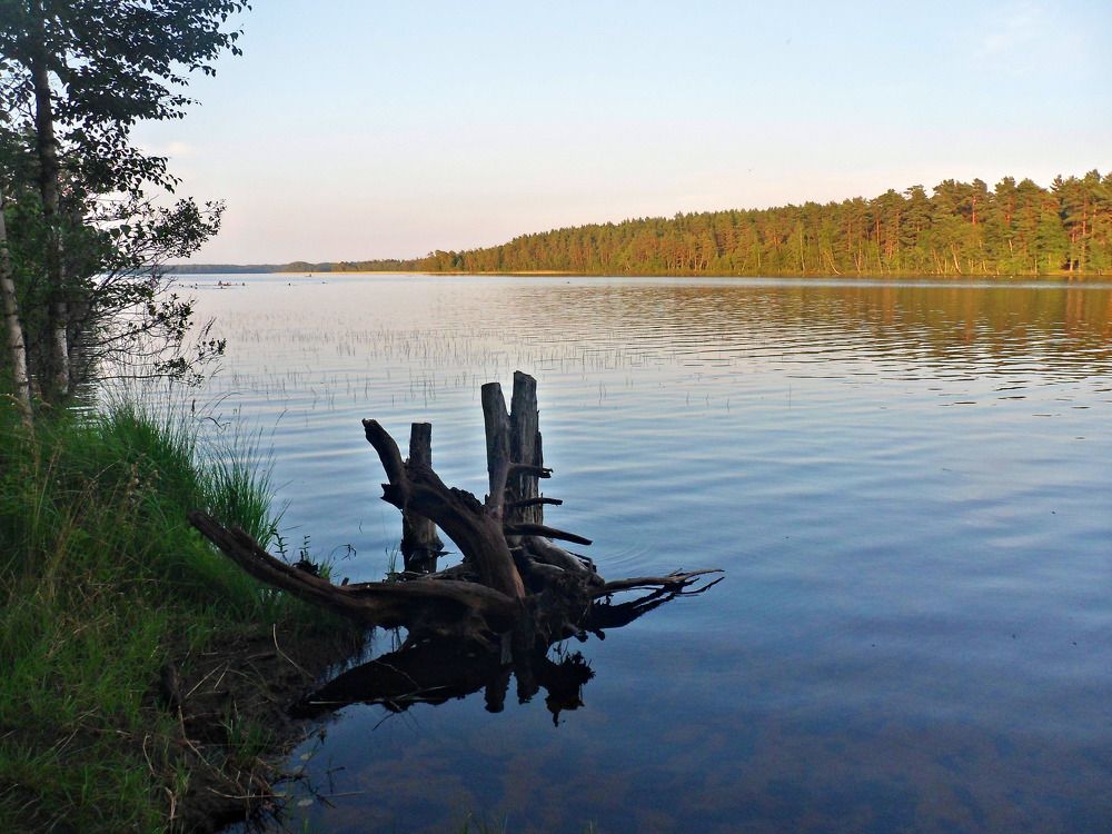 Photograph by Маша Худякова