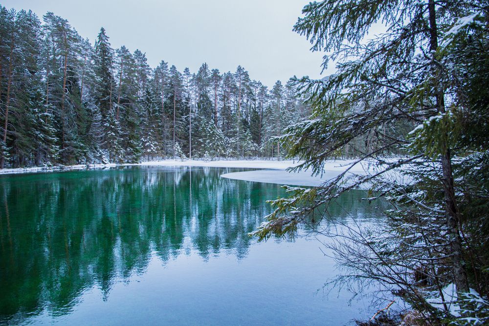 Photograph by Yulia Nikolaeva