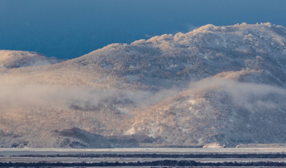 Photograph by Максин Александр