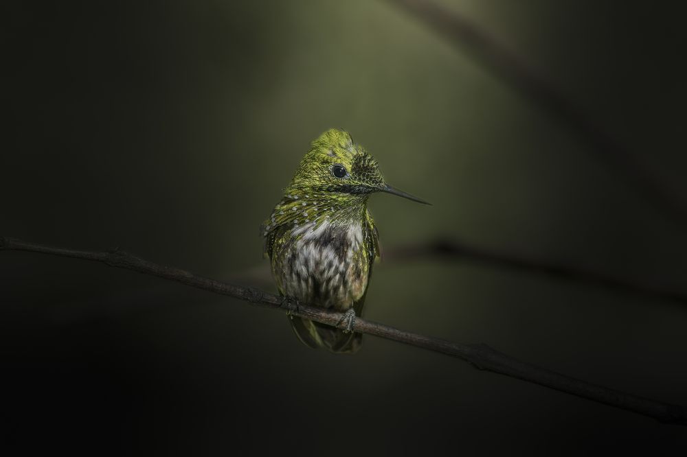 Photograph by FF casa