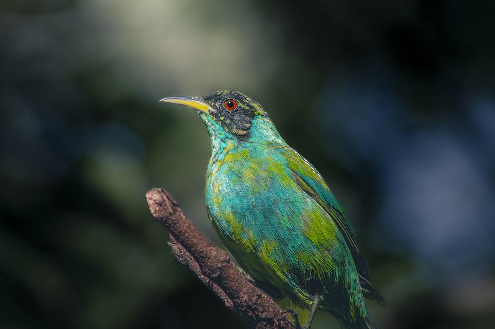 Photograph by FF casa